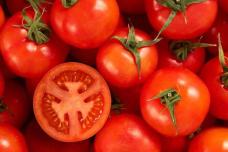 ինչ է տեղի ունենում օրգանիզմում, երբ ամեն օր լոլիկ եք ուտում