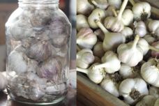 Սխտորը ձմռան համար պահպանելու ամենալավ տարբերակը սա է․ Ընդհանրապես չի փչանում