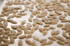 Այս սերմերը սպանում են քակցեղը, բարելավում են տեսողությունը և քունը