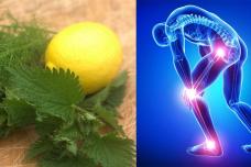 Կիտրոնը այս բույսի հետ կերեք և այն կվերացնի հոդերի ցավը ու կամրացնի ջլերը