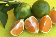 Ով կարող է ասել ՝ ի՞նչ միրգ է  սա