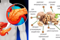 Օրական եթե 2 հատ ընկույզ ուտեք, ձեր օրգանիզմի հետ տեղի կունենա հետևյալը