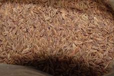 Այս սերմերը կօգնեն ձեզ նիհարել և նվազեցնել արյան շաքարը