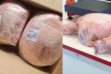 Այսօր կիլոգրամը 1900 դրամով այս խոզի բուդն եմ գնել․ Իմացեք ավելին