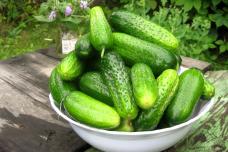 5 դիմակ դեմքին թարմություն հաղորդելու համար