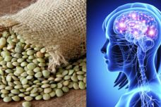 Մթերքներ, որոնք լավացնում են հիշողությունը․ Պահպանեք այս ցանկը