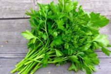 Սա համեմ է, թե պետրուշկա․ Գրեք մեկնաբանություններում