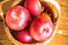 Եթե սիրում եք խնձոր, ապա անպայման կարդացեք սա․ Ահա գիտնականները ինչ են պատմել խնձորի մասին