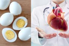 Ձուն վնասակար է սրտին, թե՞ ոչ․ Ահա բժշկի պատասխանը