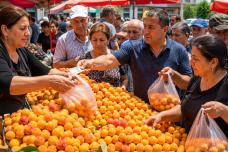 Ծիրանի գինը շուկայում անակնկալ է եղել․ Տեսեք ինչ արժե 1 կգ ծիրանը այս պահին