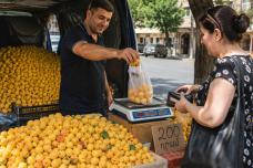 Ծիրանը վաճառում են ընդամենը 200 դրամով․ ահա հասցեն, շտապեք գնել