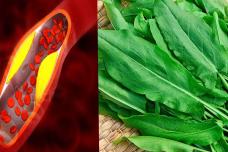 Այս կանաչին իջեցնում է բարձր ճնշումն ու խոլեստերինը․ Անպայման փորձեք