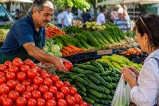 Լոլիկի և վարունգի գները կտրուկ փոխվել են․ Տեսեք ինչ արժե վարունգը և լոլիկը այս պահի դրությամբ