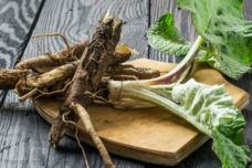 Այս արմատը դեղ է շաքարային դիաբետ դեմ