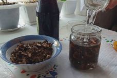 Այս թուրմը հզոր միջոց է դիաբետի, հոդացավերի, գլխացավի, միոմաների դեմ