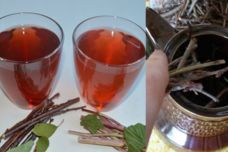 Այս ճյուղերով թեյ եմ խմում․ Այն դեղ է թոքերի համար, անպայման փորձեք