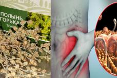 Սա ճիճուներից և մակաբույծներից ազատվելու լավագույն և ապացուցված բնական միջոց է