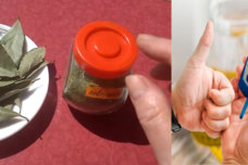 Սովորական դափնու տերևը այսպես օգտագործեք․ Ձեր ենթաստամոքսային գեղձը կմաքրվի և հեռու կմնաք շաքարային դիաբետից