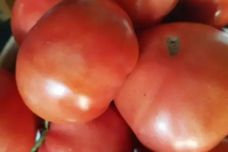 Սրտի և անոթների համար 3 ​​ամենաօգտակար մթերքները․ Իջեցնում են բարձր ճնշումը, ոչնչացնում արյան մակարդուկները