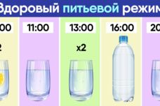 Նիհարելու ժամանակացույց. կերեք այն, ինչ ուզում եք և ժամ առ ժամ ջուր խմեք