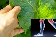 Եթե ​​ծնկներդ ցավում են, կիրառեք այս բաղադրատոմսերը և հանգիստ կքնեք ու այևս չի ցավա