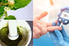 Եթե շաքար ունեք, անպայման այս բույսը օգտագործեք, այն իջեցնում է շաքարը