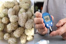 Շաքարով ունեցողներին կարելի է թութ ուտել, թե ոչ․ Բժշկի պատասխանը