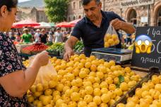 Ծիրանի գինը փոփոխվել է․ Տեսեք ինչ արժե այս պահին 1 կգ ծիրանը