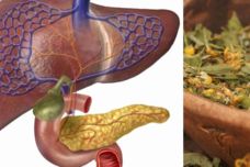 Չինական բաղադրատոմս, որը բուժում է լյարդը, երիկամները և ենթաստամոքսային գեղձը