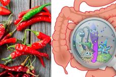 Կծու սնունդը օգտակար է, թե՞ վնասակար․ Վերջապես գիտենք այս հարցի պատասխանը