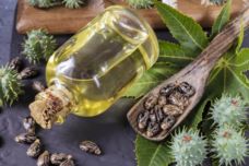 Գերչակի յուղը օգտագործեք այսպես և օրգանիզմից դուրս կգան բոլոր վնասակար նյութերը