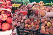 Տեղը ասեմ գնացեք 120 դրամով դեղձ գնեք․ Ընտիր և քաղցր դեղձ են վաճառում ՝ ընդամենը 120 դրամով