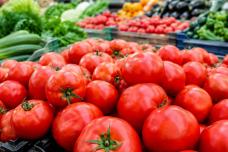 Լոլիկը գինը տեսեք ինչքան է դարձել