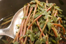 Աստծու կողմից պարգև է այս բույսը․ Այն իջեցնում է շաքարը և բնական դեղ է շաքարի դեմ