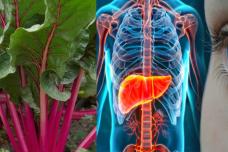 Այս բանջարեղենը բարելավել է իմ տեսողությունը, բուժել իմ լյարդը և մաքրել իմ աղիքները