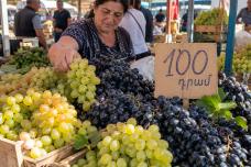 100 դրամով ընտիր խաղող են վաճառում․ ԱՀհա հասցեն, գնացեք դուք էլ առեք