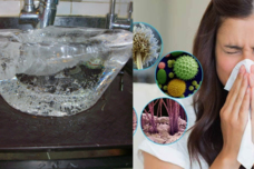 Հրաշալի միջոց ՝ բոլոր ալերգիաներից ազատվելու համար