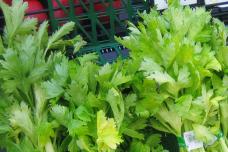 Այս բույսը օգտակար է գաստրիտի, ալերգիայի, բորբոքումների և շաքարային դիաբետի ժամանակ