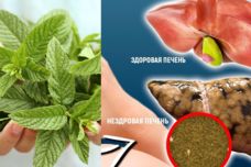Լյարդը մաքրում է և բուժում է․ Փորձեք և եղեք առողջ