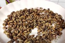 Սրա մասին շատ քչերը գիտեն․ Այս սերմերը կարող են բուժել ցանկացած քաղցկեղ