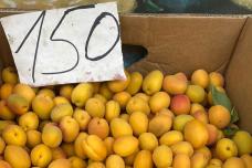 Էժան ծիրան են վաճառում․ Գնացեք և գնեք
