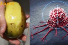 Այս բանջարեղենը պաշտպանում է քաղցկեղից և սրտանոթային հիվանդություններից