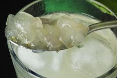Բուժեք փորկապությունը, խոցը, այրոցն ու գաստրիտը այս բնական բաղադրիչի միջոցով