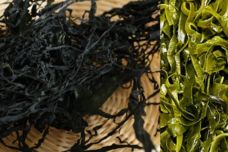 Դեղատնից ձեռք բերեք այս էժան միջոցը և այն հրաշք կկատարի ձեր օրգանիզմի հետ․ Սա հատկապես կանանց է վերաբերվում