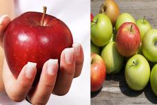 Տեսեք ինչ բառացիկ նյութ կա խնձորի մեջ․ 4 պատճառ, թե ինչու պետք է ամեն օր խնձոր ուտենք